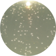 Vaginal remodeling laser_treatment