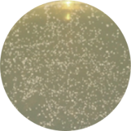 Vaginal remodeling laser_treatment