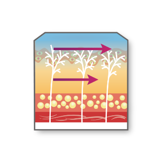 755, 808, 1064 nm Diode Laser_Lifting