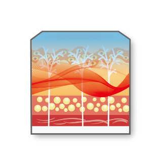 755, 808, 1064 nm Diode Laser_Skin Tightening