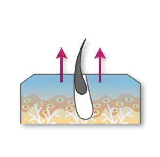 755, 808, 1064 nm Diode Laser_Fine hair removal on the face